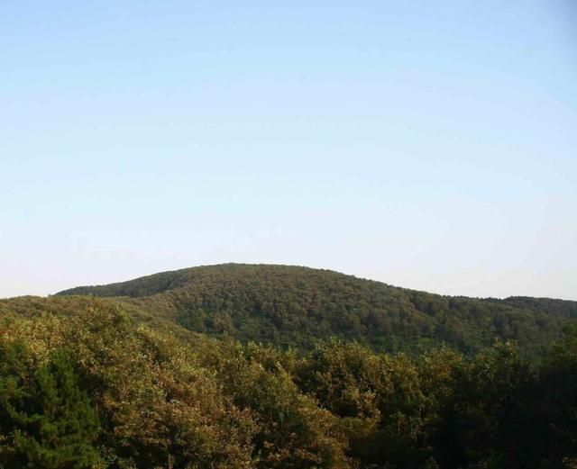 汝阳在哪里(三国汝阳在哪里)