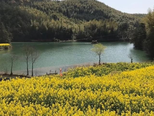 父子岭在哪(父子岭收费站)