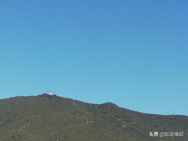 夏木在哪(夏目哉大甜蜜惩罚种子)
