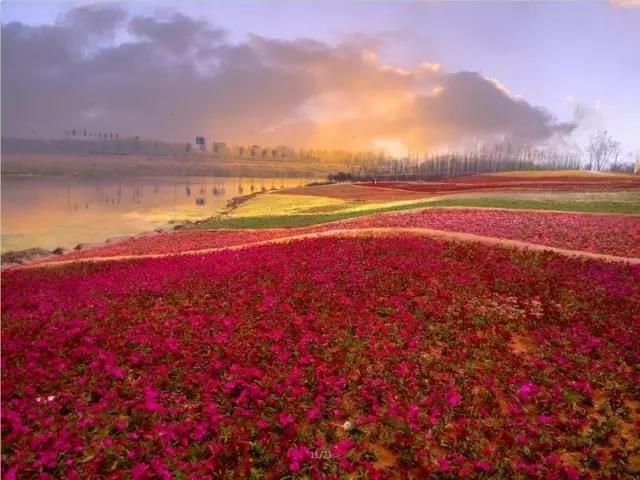 浙江花海在哪里(浙江华海药业股份有限公司招聘)