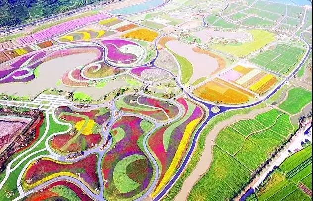 浙江花海在哪里(浙江华海药业股份有限公司招聘)