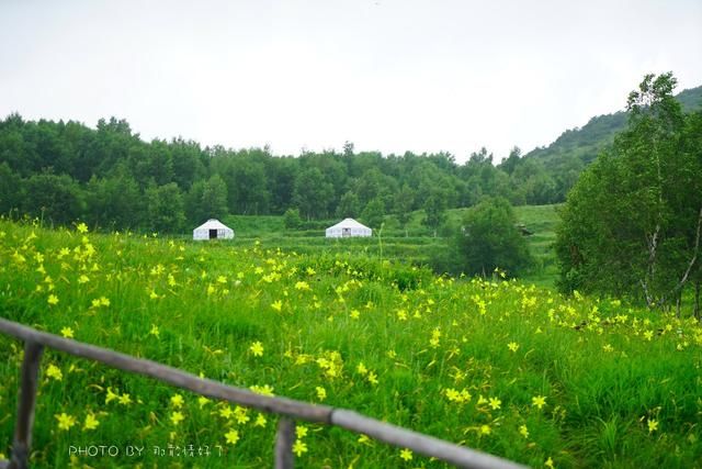云中草原在哪(云中草原武功山课件)