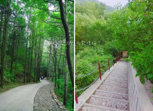 云中草原在哪(云中草原武功山课件)
