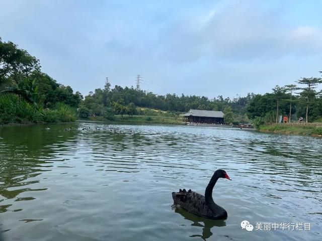 香山湖在哪里(珠海市香山湖公园在哪里)