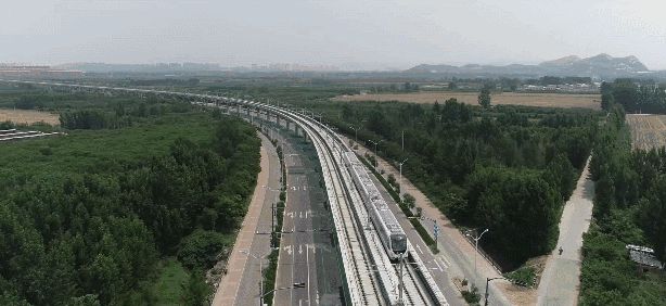 云龙在哪(云龙在哪里赛龙舟)