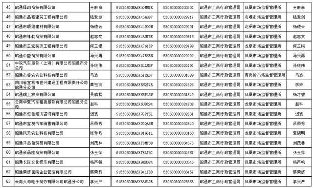 云南省红盾网企业查询系统的简单介绍