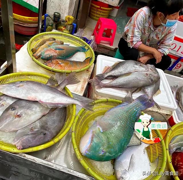 海鱼(海鱼儿电影院)