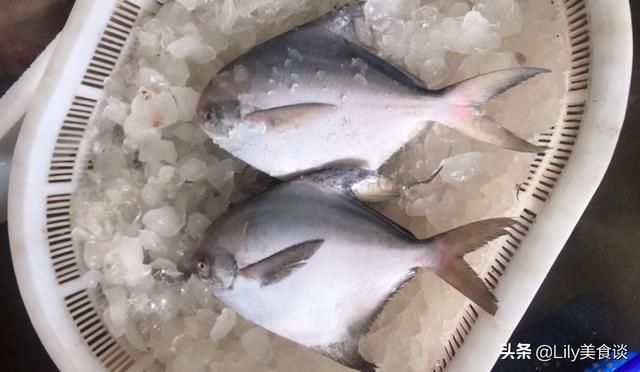 海鱼(海鱼儿电影院)