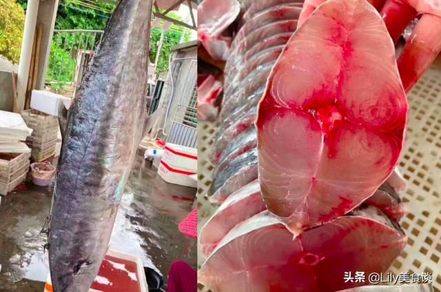 海鱼(海鱼儿电影院)
