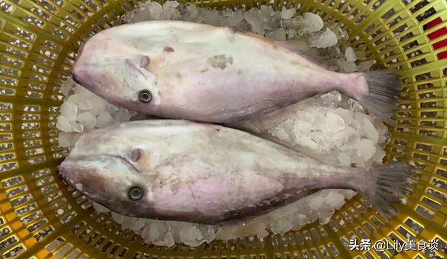 海鱼(海鱼儿电影院)