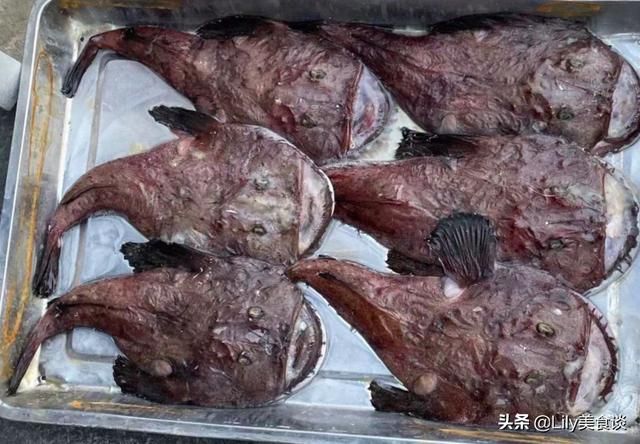 海鱼(海鱼儿电影院)