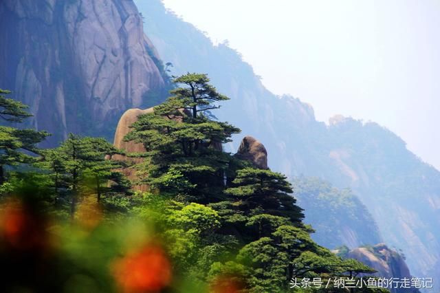 同心锁在哪里(岳麓山同心锁在哪里)