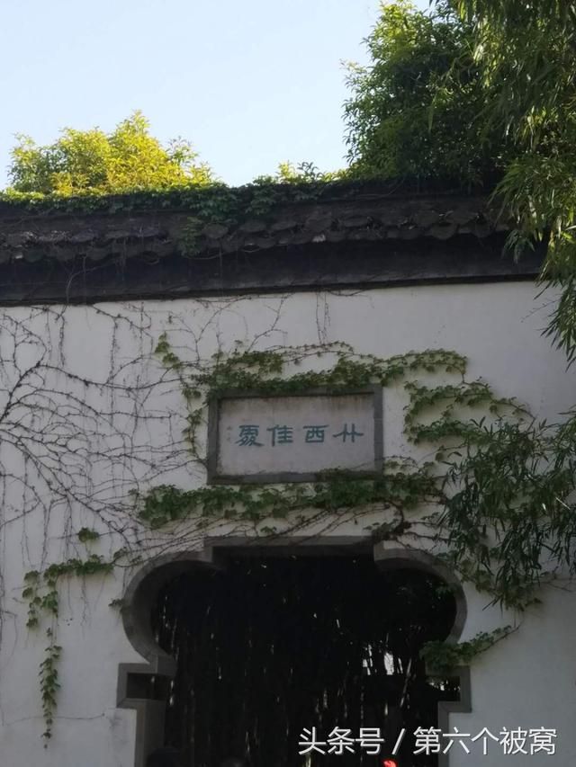 狗子庄在哪(多多和庄狗子)