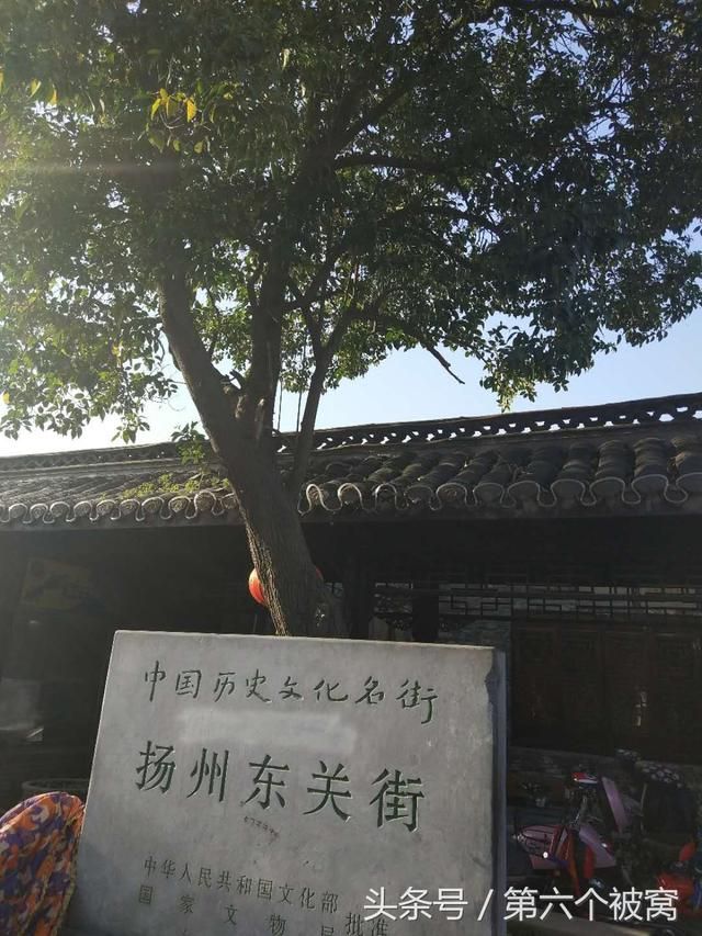 狗子庄在哪(多多和庄狗子)