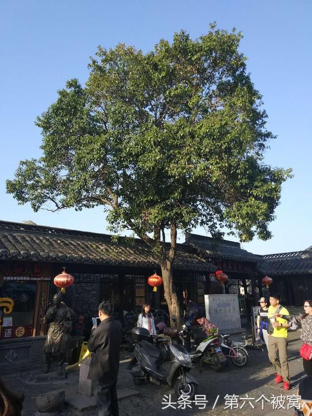 狗子庄在哪(多多和庄狗子)