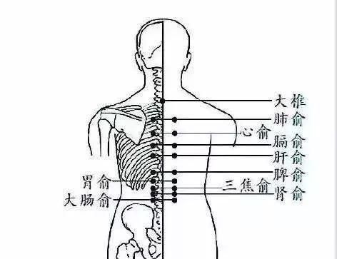 心枢在哪(心术在线免费)