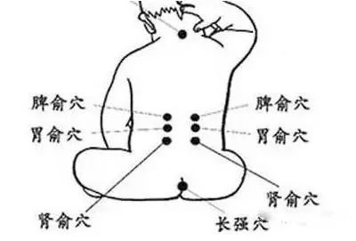 心枢在哪(心术在线免费)