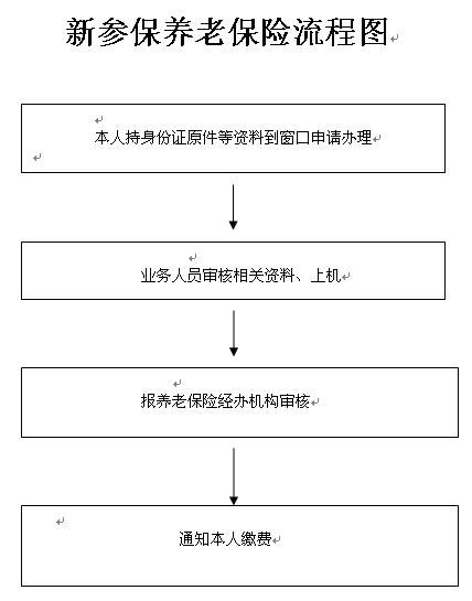 基本养老保险关系在哪(基本养老保险关系在哪里)