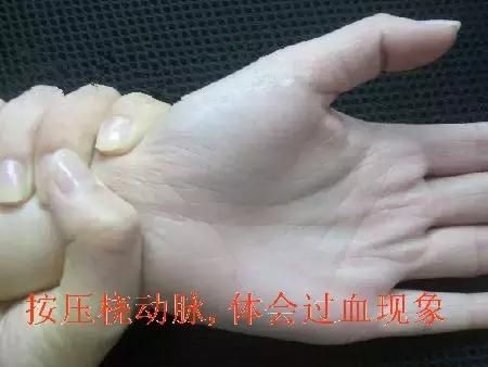 手上的脉搏在哪(手上的脉搏示意图)