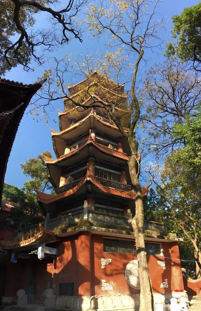双程肉在哪(双程肉戏)