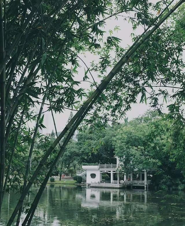 包含珠影星光城在哪个出口的词条