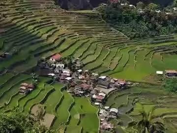 菲律宾在哪个洲(菲律宾群岛在哪个洲)