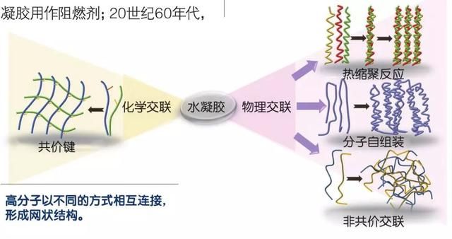 美丽水世界凝胶球在哪(美丽水世界重力球)