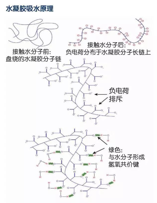 美丽水世界凝胶球在哪(美丽水世界重力球)