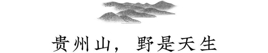 贵州在哪边(贵州在哪个省哪个城市)