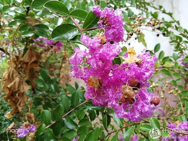 荣耀9说明书在哪(荣耀手环3说明书)