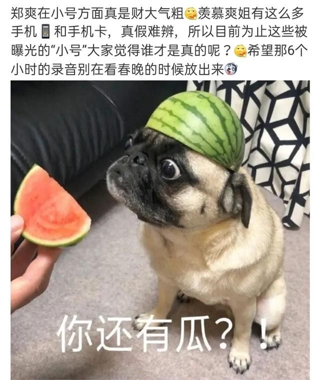 包含vivoS1pro电话录音文件在哪的词条