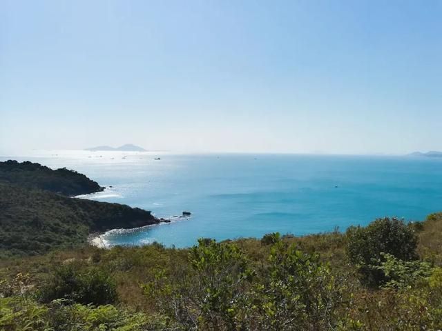 重庆26个区排名(重庆区经济排名)