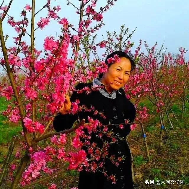 家在哪里作文(蝴蝶的家在哪里作文)