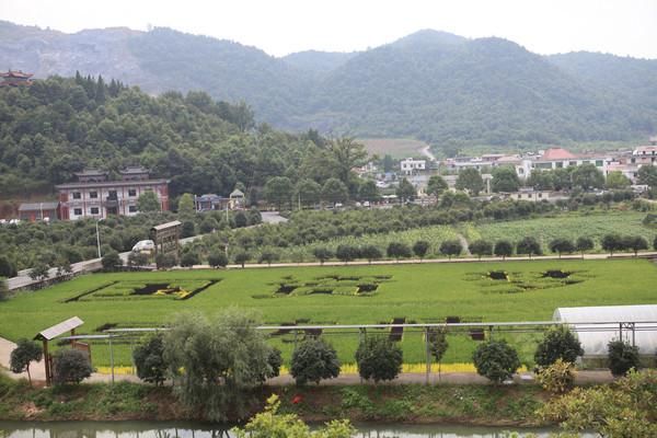 昌坊在哪里(厂房在线官网)