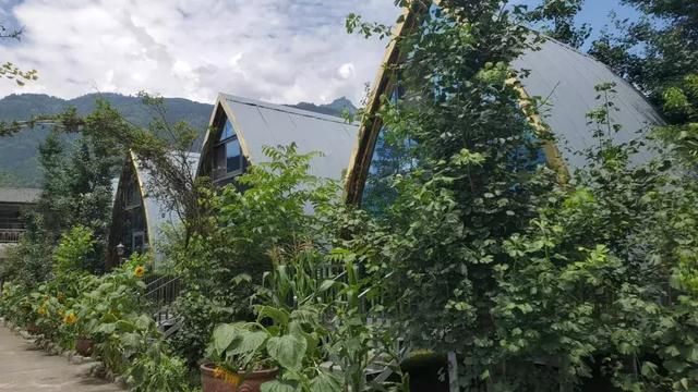 德阳芭比酒吧在哪里(德阳欧米亚酒吧在哪里)