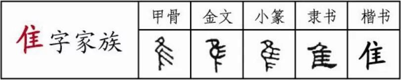 腰一锥在哪(腰一椎体压缩性骨折神经受损大小便)