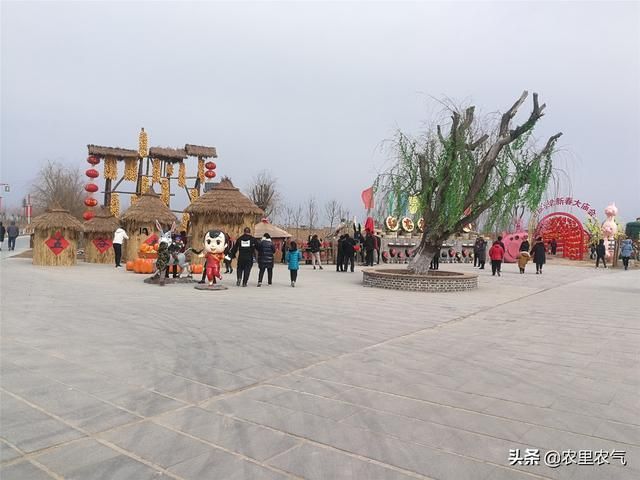 红高粱影视基地在哪(红高粱影视基地简介)