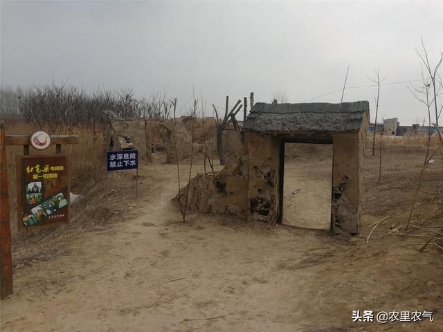 红高粱影视基地在哪(红高粱影视基地简介)