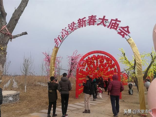 红高粱影视基地在哪(红高粱影视基地简介)
