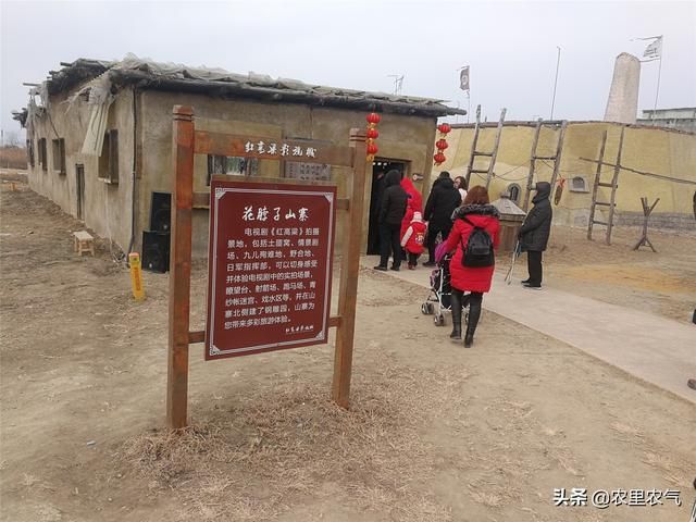 红高粱影视基地在哪(红高粱影视基地简介)