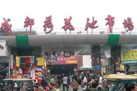 成都的批发市场在哪里(成都的批发市场在哪里进的货)