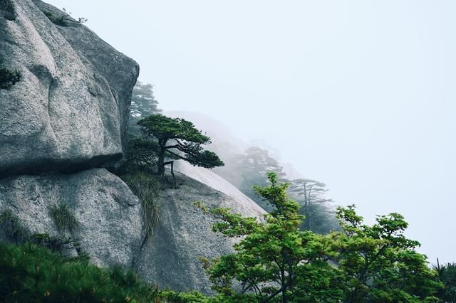 山工在哪里(山工装载机厂家在哪里)