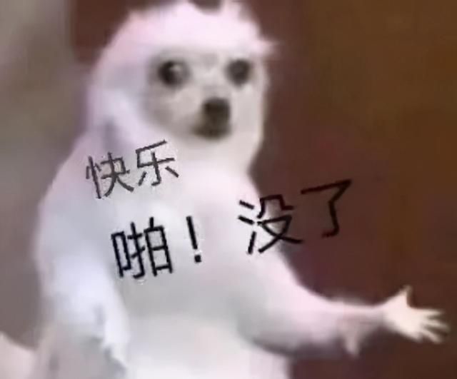 头发批发市场在哪里(山东头发批发市场)