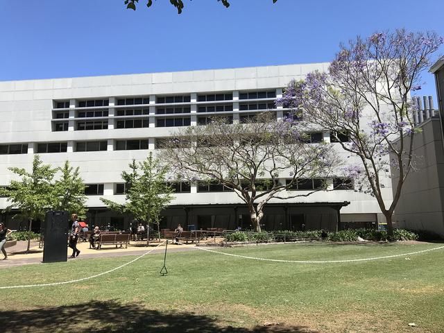 新南威尔士大学在哪里(新南威尔士大学在哪个州)