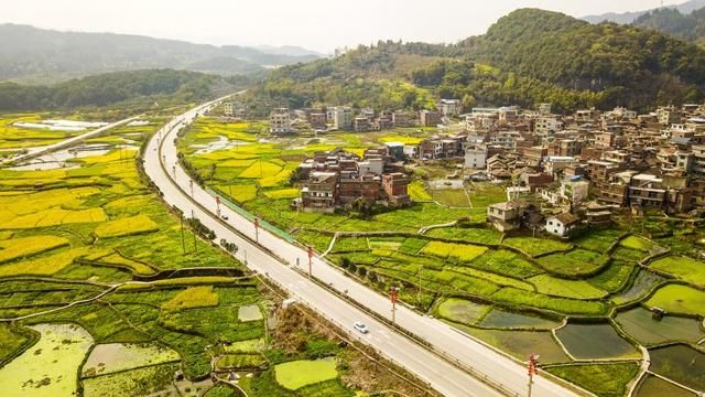 包含广阳岛油菜花在哪里的词条