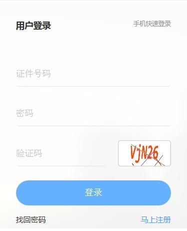 包含个人税务查询系统的词条