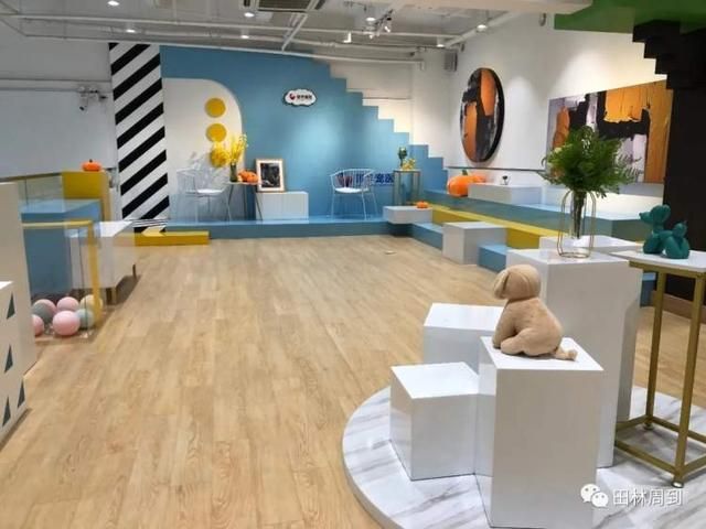包含附近的宠物医院在哪里的词条