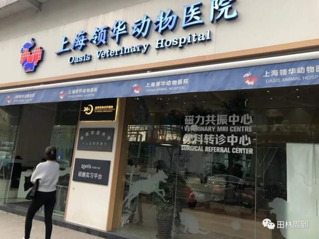 包含附近的宠物医院在哪里的词条