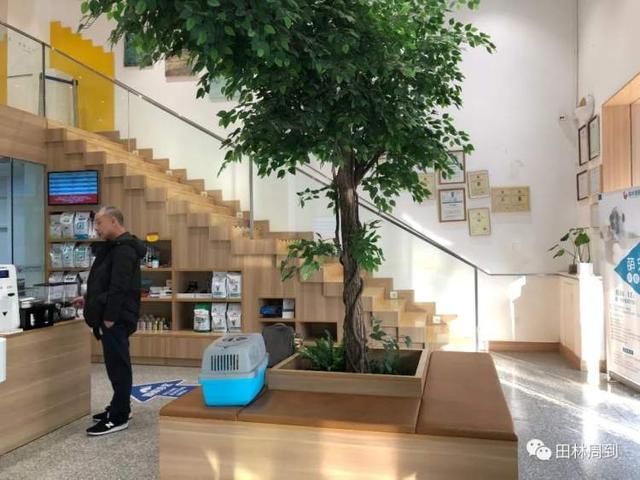 包含附近的宠物医院在哪里的词条