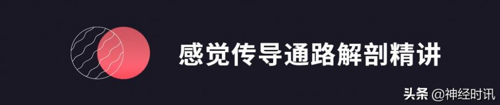 头温在哪里(情头在哪里找)
